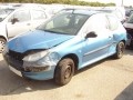 Voiture accidentée : PEUGEOT 206