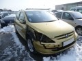 Voiture accidentée : PEUGEOT 307