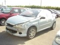 Voiture accidentée : PEUGEOT 206